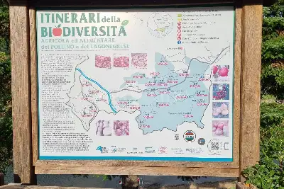 Villa in vendita, Contrada Lago, Nemoli (PZ), Nemoli