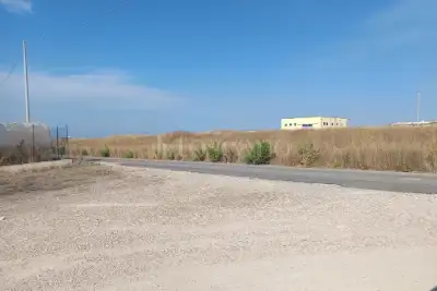 Agricolo in affitto, Via Stentinello, Siracusa
