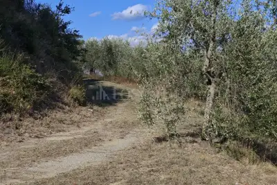 Agricolo in vendita, Localita' Bibbiano, Colle di Val d'Elsa