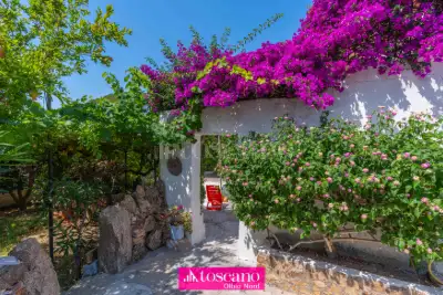 Villa in vendita, Via Del Lentischio, Golfo Aranci