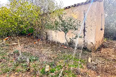 Agricolo in vendita, Trudda , Loiri Porto San Paolo