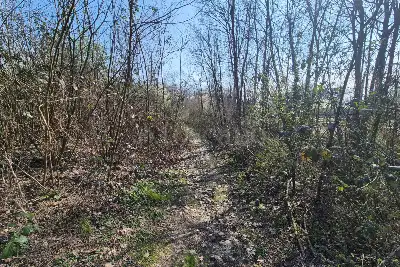 Agricolo in vendita, Via Sant'Agostino, Mariano Comense