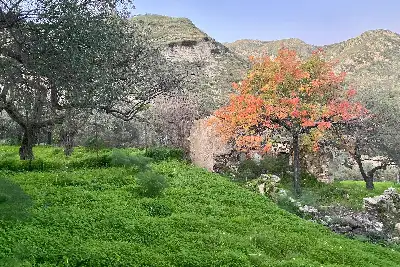 Casale in vendita, Contrada Mastrissa, Taormina