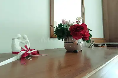 Casa in vendita, Via Costanzo Casana, Roma