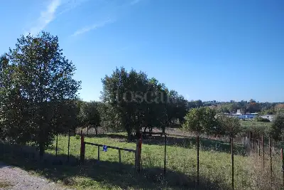 Agricolo in vendita, Via del casale d'Antoni, Roma