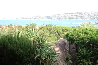 Villa Bifamiliare in vendita, Via delle Ginestre, La Maddalena