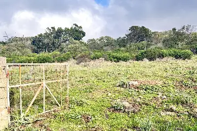 Agricolo in vendita, Loc. Caldosu, Sant'Antonio di Gallura