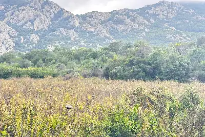 Agricolo in vendita, Loc. Caldosu, Sant'Antonio di Gallura