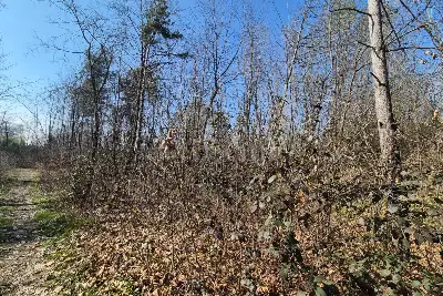 Agricolo in vendita, Via Sant'Agostino, Mariano Comense