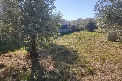 Agricolo in vendita, Vicolo della Patatona , Ciampino