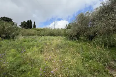 Agricolo in vendita, Via San Cosimo, Messina