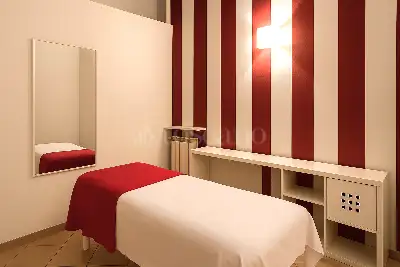 Attività Commerciale in vendita, Via M. Buonarroti, Monza