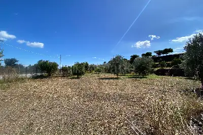 Agricolo in vendita, Via San Marco, Calatabiano