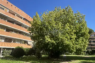 Casa in vendita, Via Mario Mona, Roma