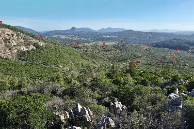 Agricolo in vendita, Berchidda, SP 138, Berchidda