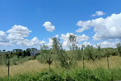 Villa in vendita, Via Poggio degli Ulivi, Sacrofano