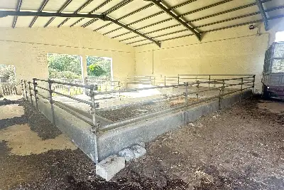 Agricolo in vendita, SANT'ANTONIO DI GALLURA , Sant'Antonio di Gallura