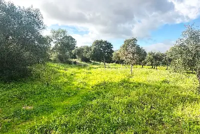 Edificabile Residenziali in vendita, Via Gallura snc, Montelittu, Loiri Porto San Paolo
