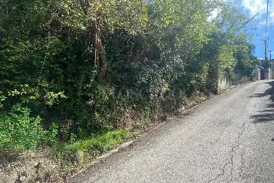 Agricolo in vendita, Via Gradoni Ortocurti, Grottolella, Grottolella