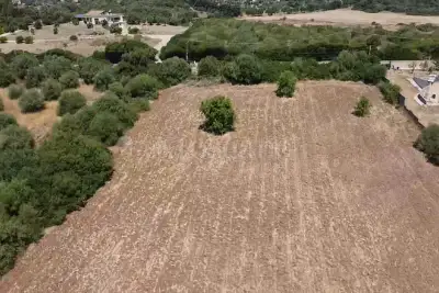 Edificabile Residenziali in vendita, Strada Vicinale Caniga - San Giorgio, Sassari