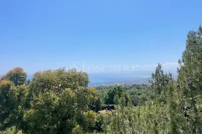 Albergo in vendita, SAN GREGORIO - BELLINI, San Gregorio di Catania