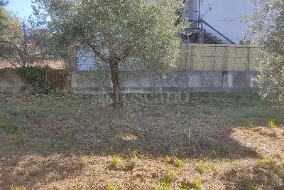 Agricolo in vendita, Vicolo della Patatona , Ciampino