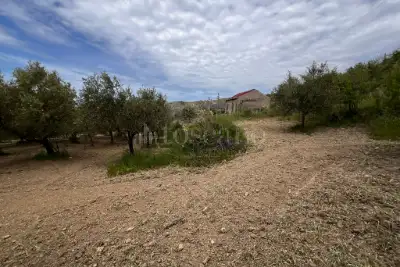 Agricolo in vendita, Motta San Giovanni, Motta San Giovanni