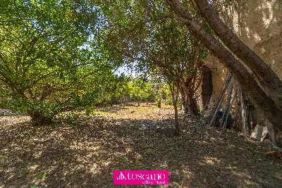 Casa Indipendente in vendita, Via de Filippi 8, Olbia, Olbia