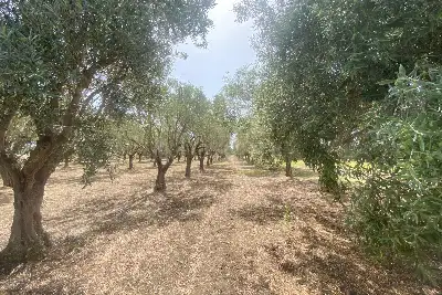 Villa in vendita, Via San Giovanni Bosco, Siracusa