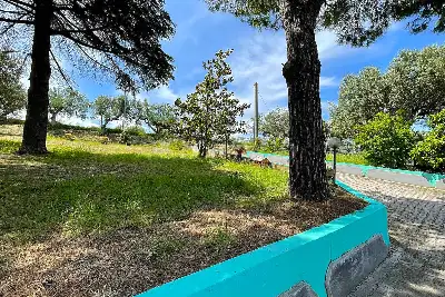 Casa Indipendente in vendita, Contrada Colle Porcino, Controguerra