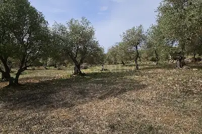 Edificabile Residenziali in vendita, Strada Vicinale Rizzeddu Gioscari 4, Sassari