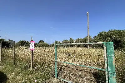 Agricolo in vendita, Piano Torre Spartà, Messina
