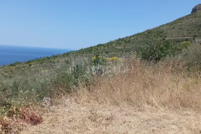 Agricolo in vendita, Piano Guastella, Erice