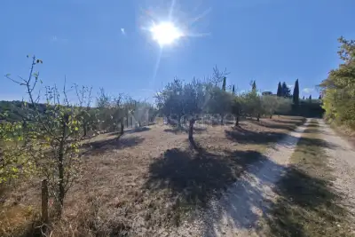 Agricolo in vendita, Localita' Bibbiano, Colle di Val d'Elsa