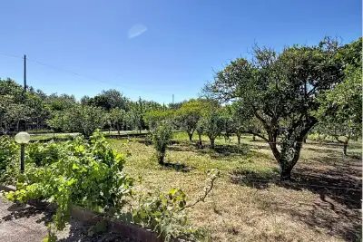 Casa Indipendente in vendita, Strada Vicinale Li Buttangari, Sorso