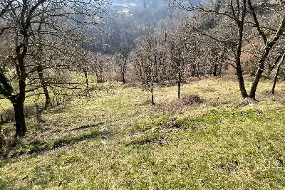 Rustico in vendita, Dizzasco, Loc. Pesee, Dizzasco