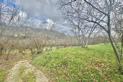 Agricolo in vendita, Via Belle Donne, Cesinali