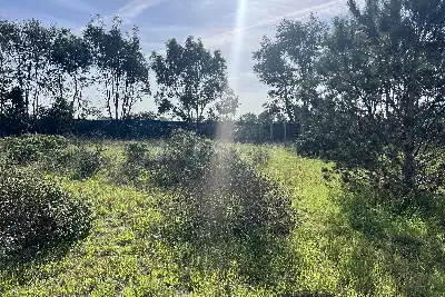 Edificabile Residenziali in vendita, Via Consorzio Focense, Fiumicino