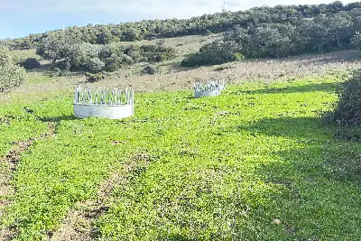 Agricolo in vendita, SANT'ANTONIO DI GALLURA , Sant'Antonio di Gallura