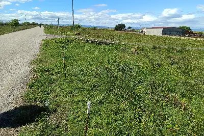 Agricolo in vendita,  , Lentini, Lentini