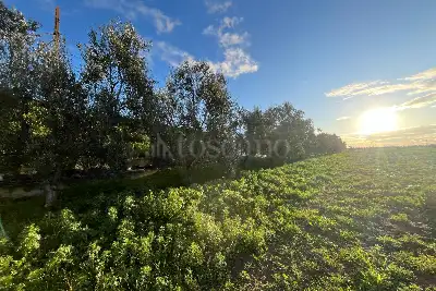 Agricolo in vendita, zona Macchione, Cerignola