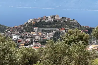 Agricolo in vendita, Motta San Giovanni, Motta San Giovanni