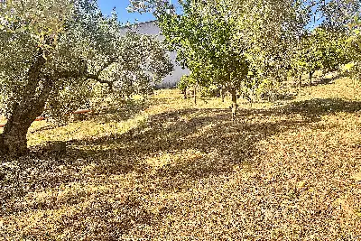 Edificabile Residenziali in vendita, Trudda via Angona, Loiri Porto San Paolo