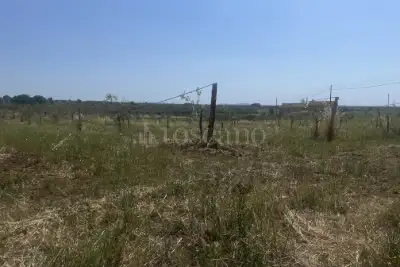 Agricolo in vendita, Strada Cassia Sud, Viterbo