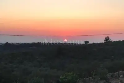 Agricolo in vendita, Strada Vicinale Logulentu Badde Tolta, Sassari