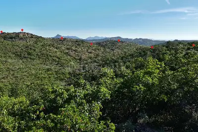 Agricolo in vendita, Berchidda, SP 138, Berchidda
