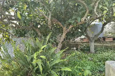 Casa Indipendente in vendita, Via Favignana, Valderice