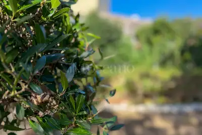 Casa in vendita, Via Catania 12, Olbia, Olbia