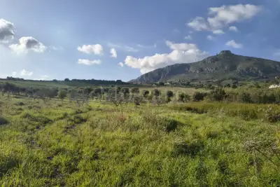 Agricolo in vendita, Contrada Martognella, Valderice