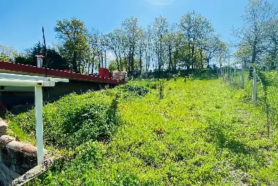 Agricolo in vendita, Via delle foreste, Manocalzati, Manocalzati